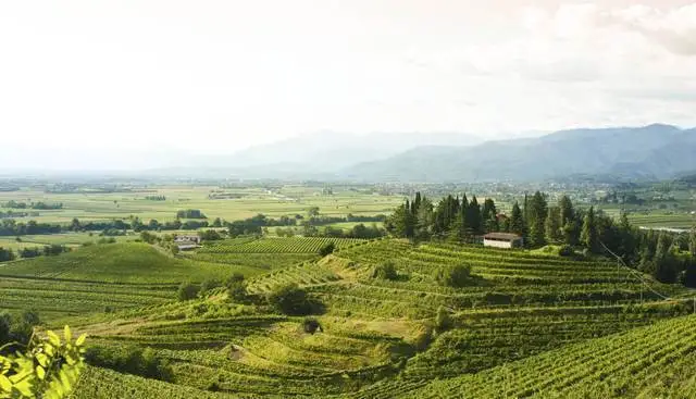 Questo mese Federvini consiglia: La strada dei vini del Collio, Veneto