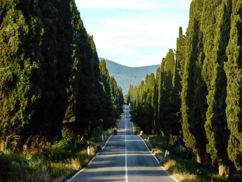 Vittoria del Consorzio di Bolgheri contro il marchio bulgaro Bolgar&eacute;