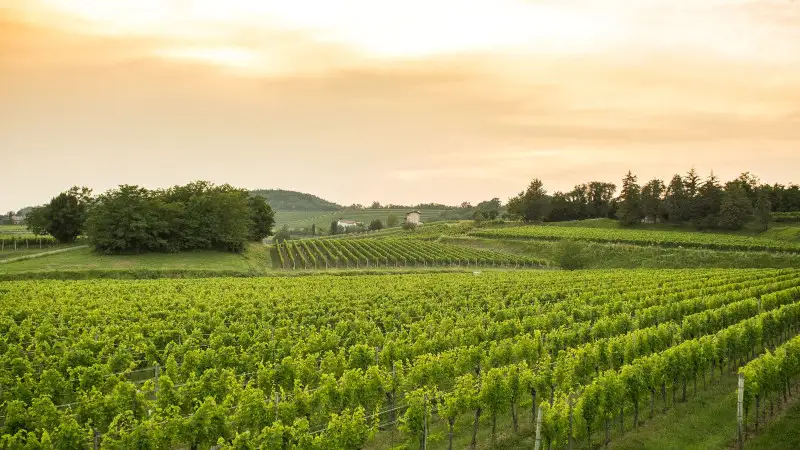 CsC: inflazione in calo, ma tassi elevati e e limitato accesso al credito impattano sulla crescita