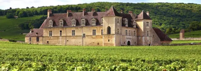 Bordeaux, dagli incendi non solo rischi ai vigneti: gravi danni all&rsquo;enoturismo 
