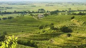 Crea: in crescita Pil, valore aggiunto dell'agricoltura e dell'industria e investimenti fissi lordi