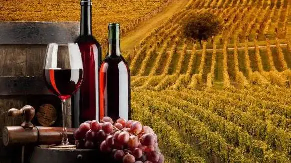 Agroalimentare, I trimestre 2022: buona performance del primario