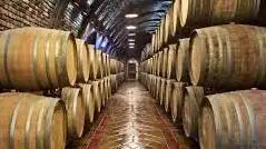 Cantina Italia, il report diventa settimanale. Ecco i numeri al 7 aprile 2020