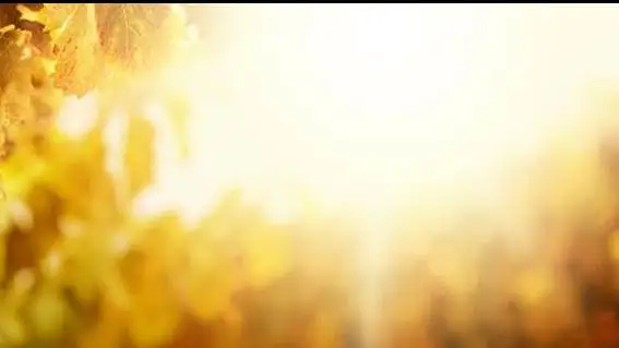 Climate change: Fires rage & temperatures soar throughout Europe