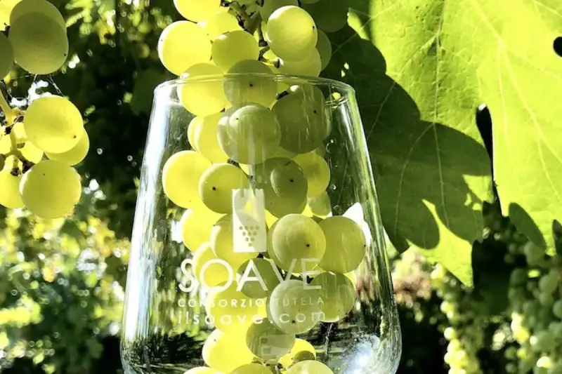 Modificato il disciplinare del Recioto di Soave