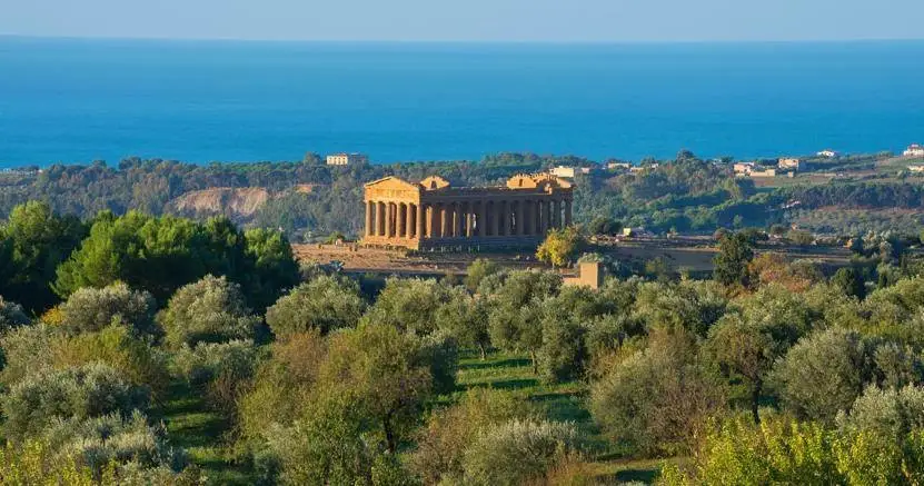 Nasce la Strada del Vino e dei Sapori della Valle dei Templi