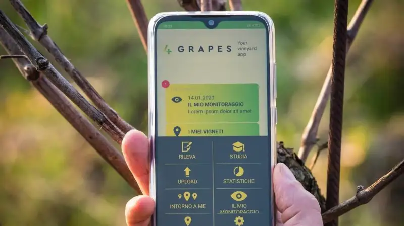 Premiati i primi vigneti italiani con Indice Bigot sopra i 90 punti su 100