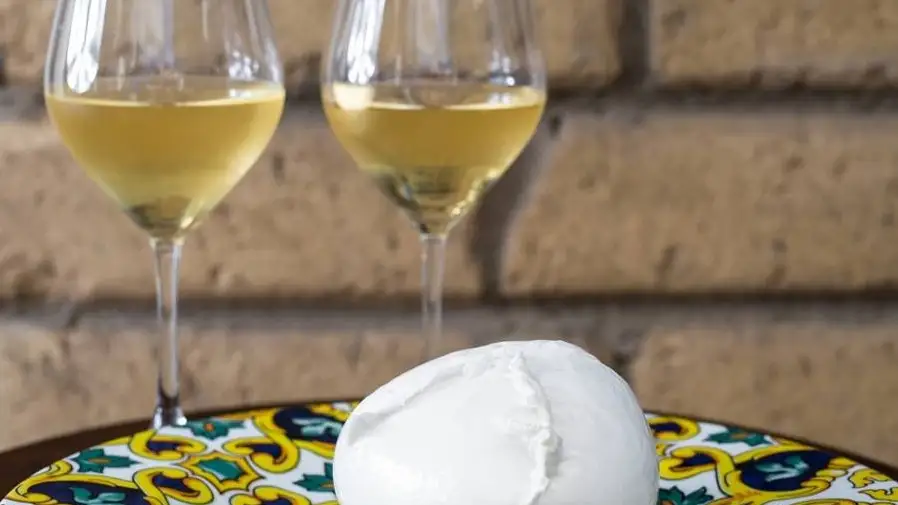 Un fine settimana tra le citt&agrave; costiere del Cilento