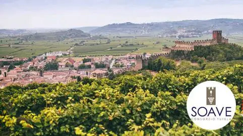 Presentato MultiVerso, il Manifesto Programmatico del Soave