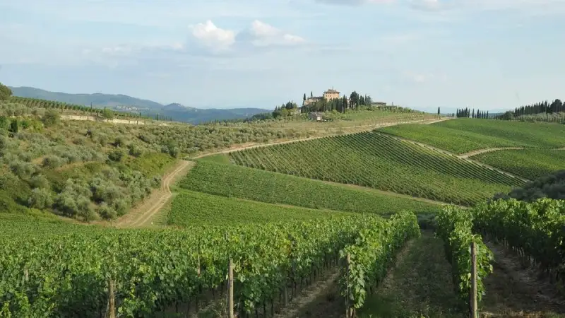 Vittoria del Chianti Classico al Tar per la salvaguardia del paesaggio contro Metaenergia