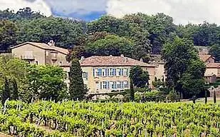 Il ros&eacute; pi&ugrave; caro al mondo? &Egrave; firmato da Brad Pitt e Angelina Jolie