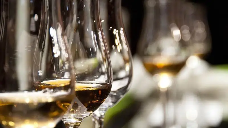 Doc Lugana sempre pi&ugrave; wine destination