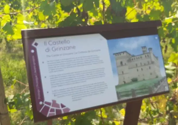 Asta benefica del Barolo en primeur: appuntamento il 30 ottobre