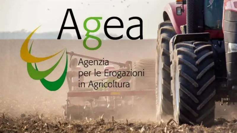 Riduzione volontaria delle rese: Agea pubblica l'elenco delle domande ammesse