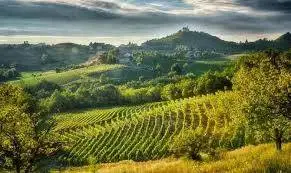 DOC Monti Lessini, DOCG Gavi e DOCG Cinque Terre verso la modifica del disciplinare