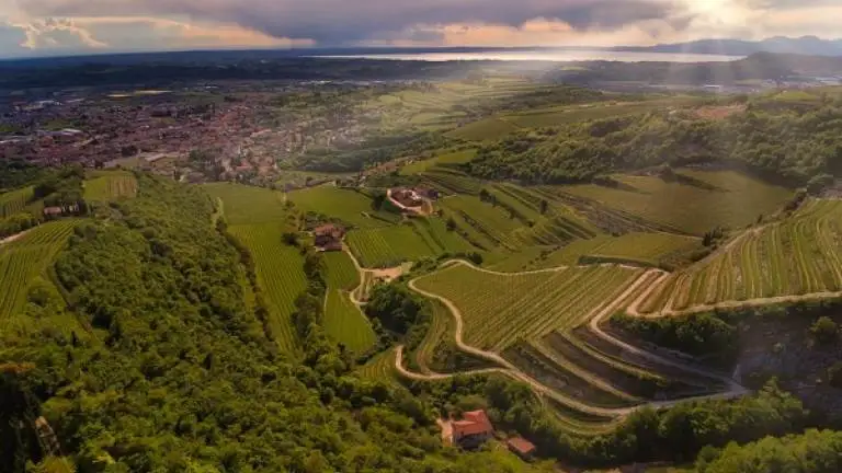 Valpolicella, primo report annuale: pi&ugrave; sostenibilit&agrave; e contenimento produttivo