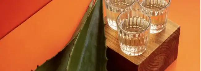 Aumenta il consumo di tequila in Italia (+25,6% nel semestre)