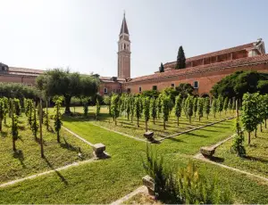 All&rsquo;Italia il primato mondiale delle vigne urbane