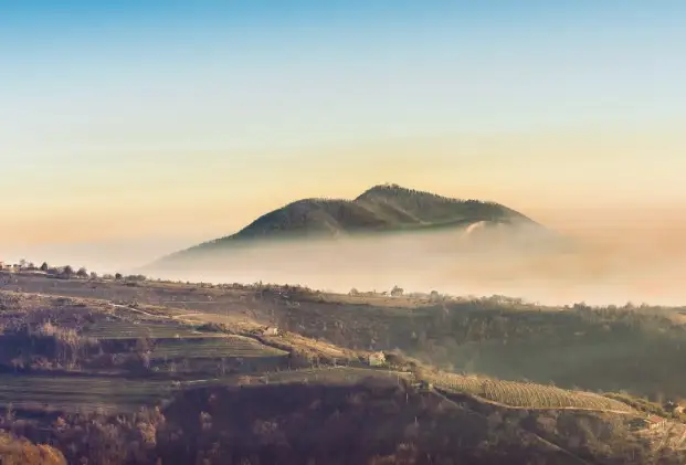 I Colli Euganei riconosciuti come Riserva Mondiale della Biodiversit&agrave; Unesco