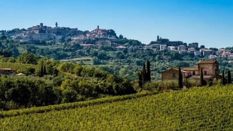 I vigneti di Montepulciano riconosciuti come "Paesaggio rurale storico"