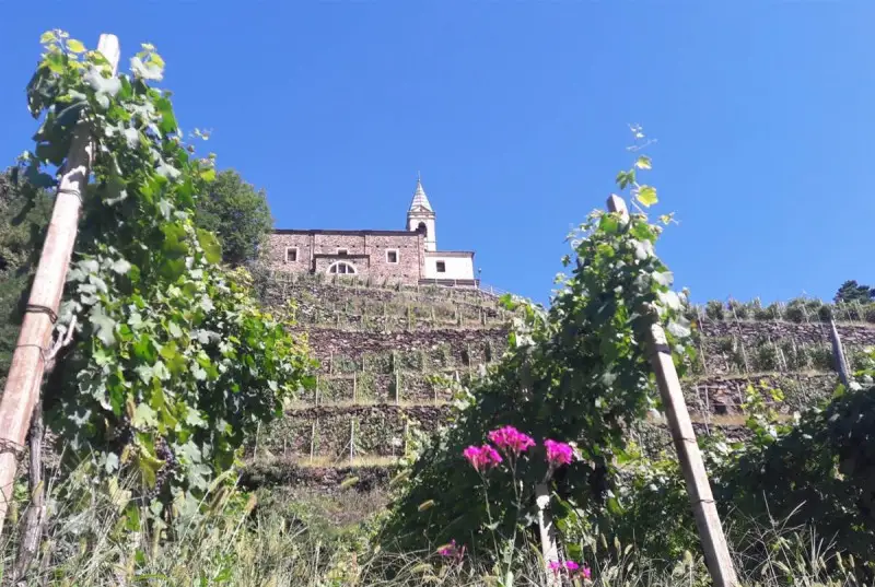 A piedi tra le vigne del Grumello e dell'Inferno