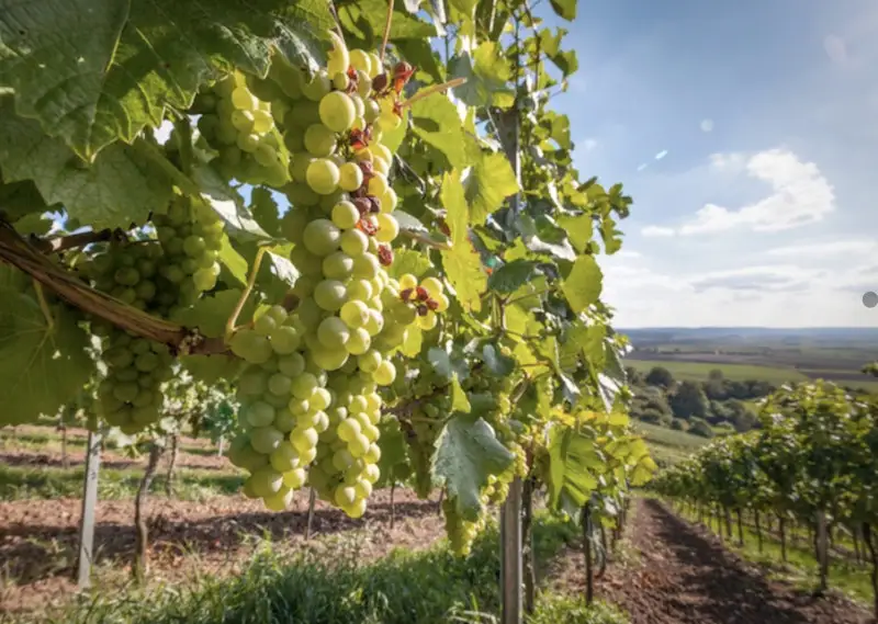 In Gazzetta Ufficiale i decreti di approvazione del Progetto Abruzzo