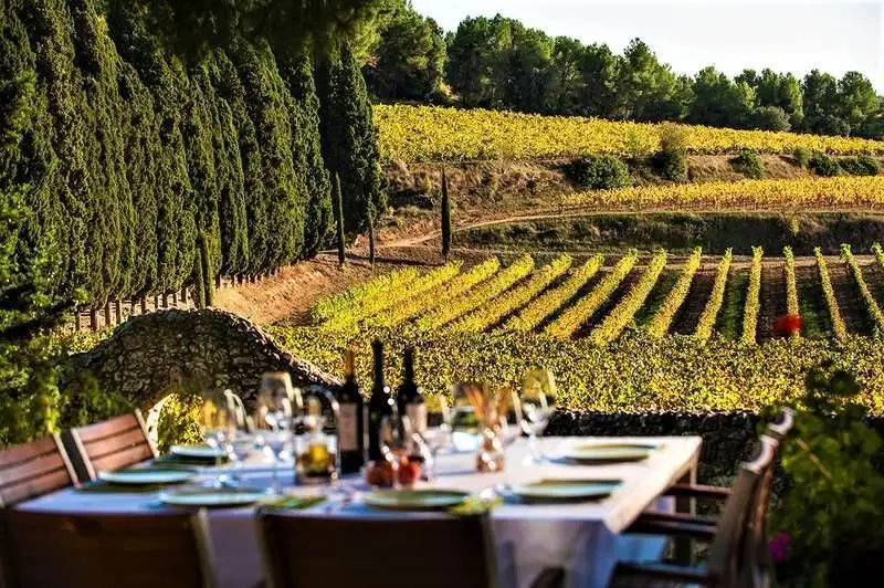 In vigore il decreto sull'enoturismo, ecco le nuove regole