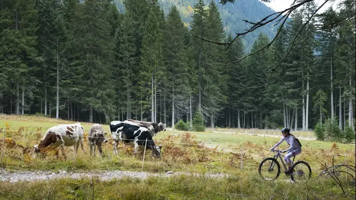 Weekend in rosa ad Auronzo