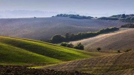 Fondazione Qualivita promuove il #decalogoDOP per la comunicazione post covid-19