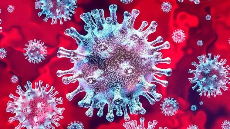 Le linee guida per la vaccinazione in azienda