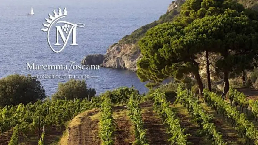 Pubblicate in Gazzetta le modifiche alla Doc Maremma toscana