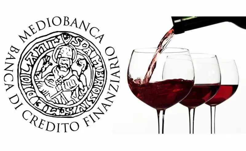 Generazione di valore nell'Italia del vino. La relazione di Mediobanca