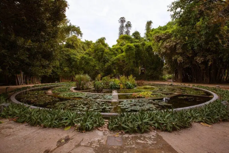 I vini siciliani trovano casa all'Orto Botanico di Palermo