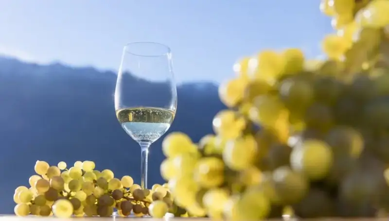 Intervento sulle accise in Russia