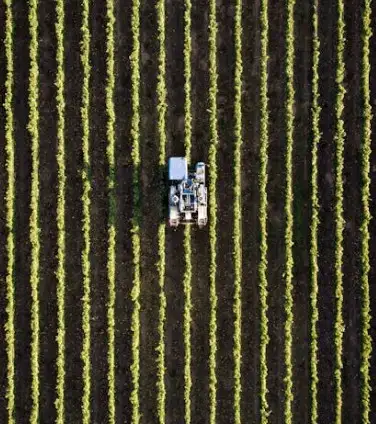 Pubblicato il decreto legge Agricoltura