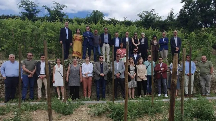 Dimezzamento della chimica in agricoltura: la Ue sottovaluta gli effetti sulle produzioni vinicole