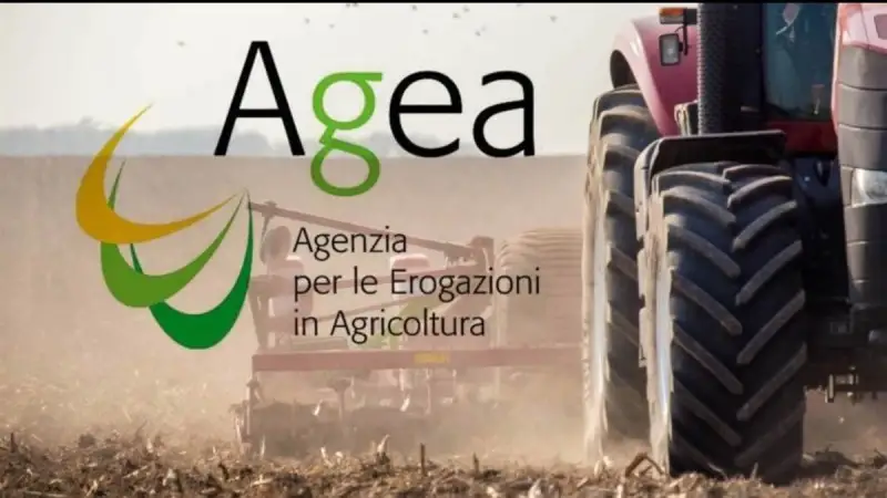 Riduzione volontaria delle rese: istruzioni Agea su domande di aiuto e scadenza il 31 luglio