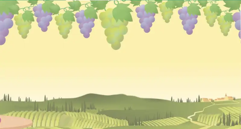 L’84% delle aziende vinicole ha certificazione di sostenibilità (ma lo comunica poco)