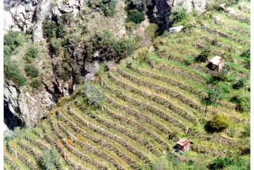 Il Consorzio Terre di Reggio Calabria ottiene il riconoscimento