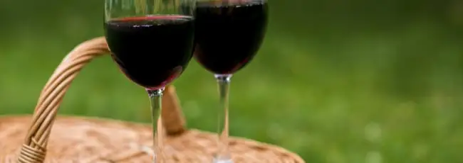Una bozza di decreto introdurrebbe in Cile la categoria del &laquo;vino a basso contenuto alcolico&raquo;