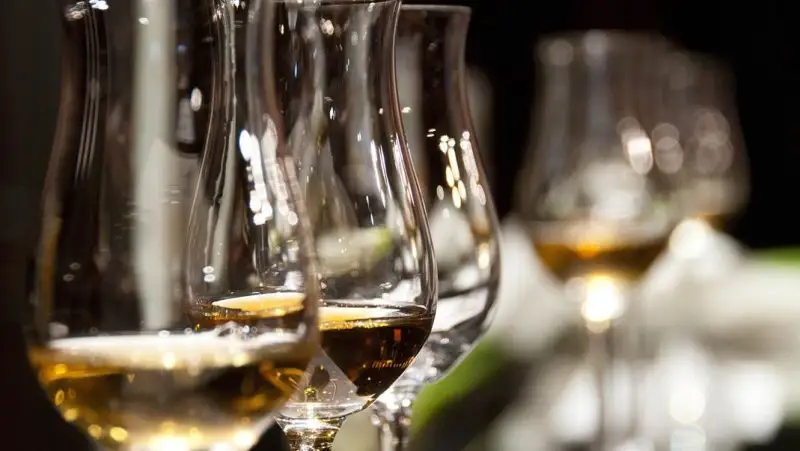 Premio Vinoway, Jacopo Vagaggini miglior giovane enologo