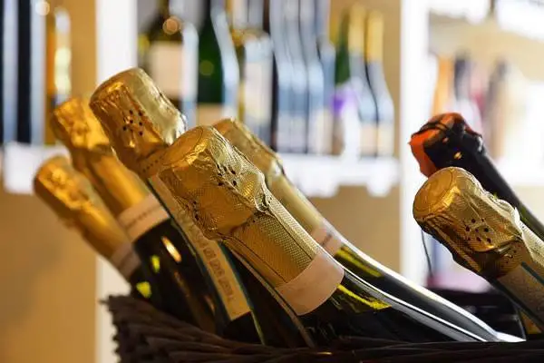 Dal Prosecco al Raboso, I grandi vini e le cantine più ospitali della Marca trevigiana