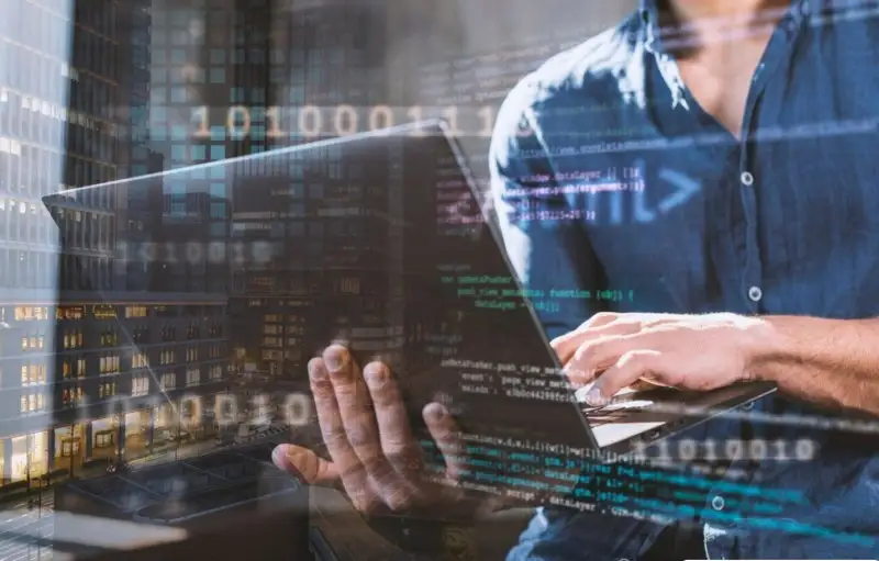 Harvard University: ecco come i big data possono aiutare il mondo del vino