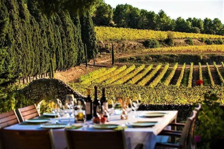 Vino e turismo, il successo &egrave; "locale e naturale"