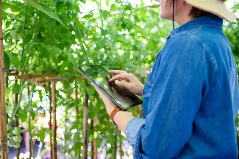 Le regole del credito d'imposta sulle spese per commercio elettronico del settore agroalimentare