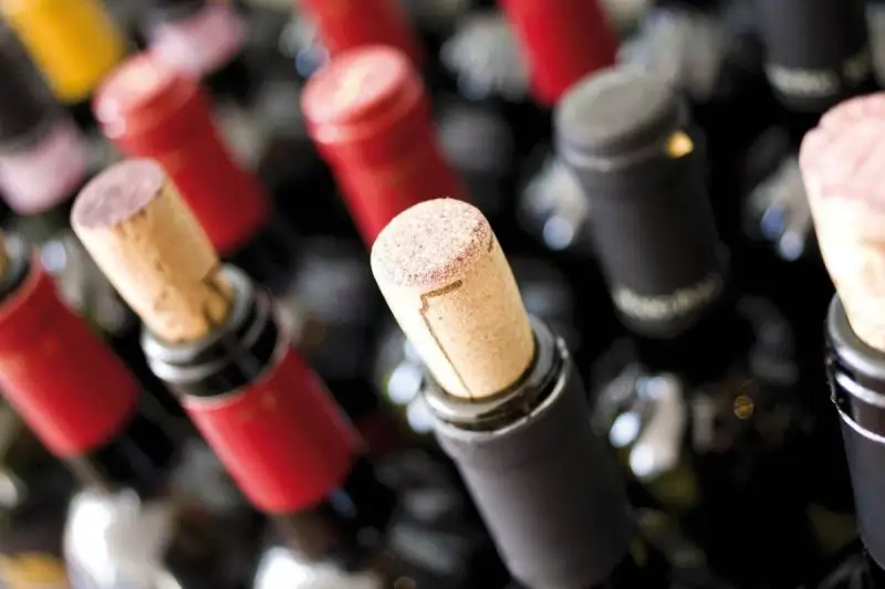 Fatturato delle aziende italiane vitivinicole a 11,2 miliardi:  (+7% che sale a +52% nel decennio)