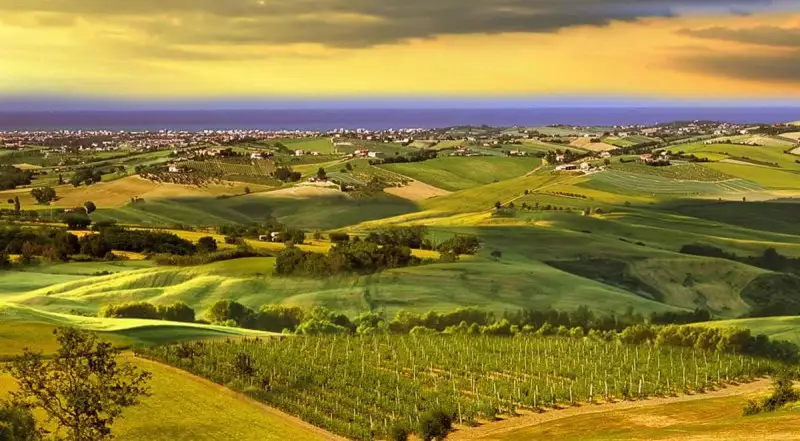 La Doc Colli di Rimini cambia nome