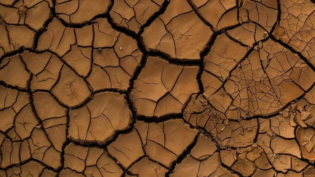 Agricoltura e siccit&agrave;, Patuanelli illustra le iniziative del Governo