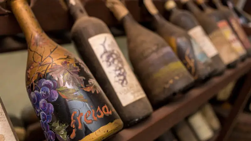 #freisafriday, il progetto che promuove la collina torinese