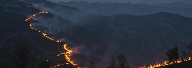 Regioni vitivinicole devastate da vasti incendi in Australia e Sudafrica 